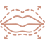 Vermillion border-icon