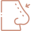 Nasal Bridge-icon