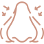 Nasal Sides-icon