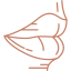 Oral commissures-icon